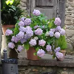 カントリーハウス El Balcon De