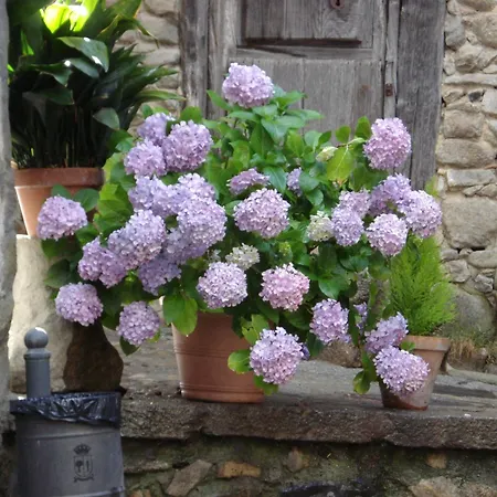 Country house El Balcon De