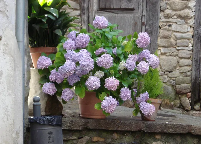 Séjour à la campagne El Balcon De
